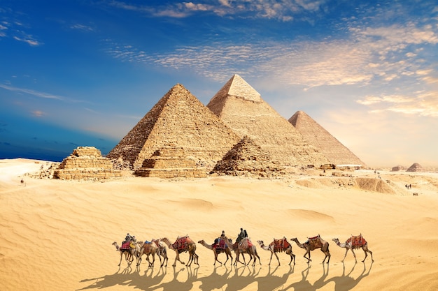 Uma caravana de camelos com beduínos perto das Pirâmides do Egito no deserto de Gizé