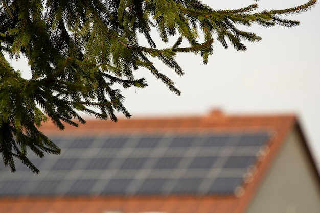 Uma casa com uma árvore em primeiro plano e um edifício com painéis solares no telhado.