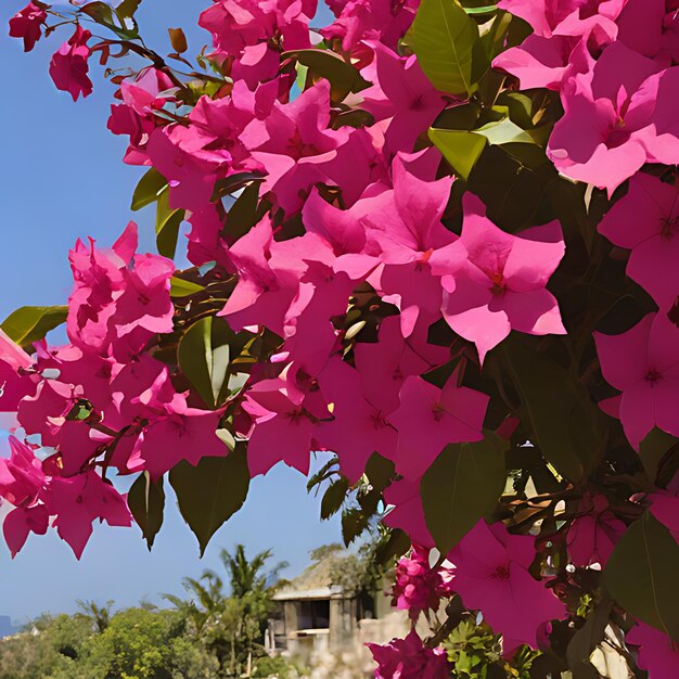 Foto uma casa com uma casa no fundo e flores no primeiro plano