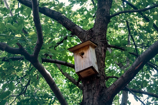 Uma casa de passarinho de madeira em uma árvore no Parque de Biodiversidade Valpolicella