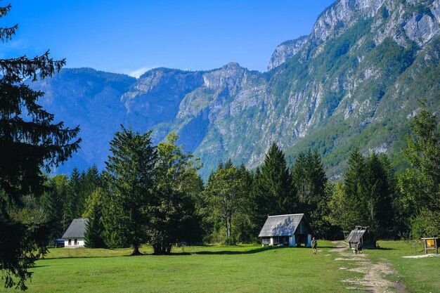 Uma casa em um campo com árvores e montanhas ao fundo na Eslovênia