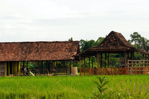 Uma casa joglo é uma casa tradicional de java central, indonésia