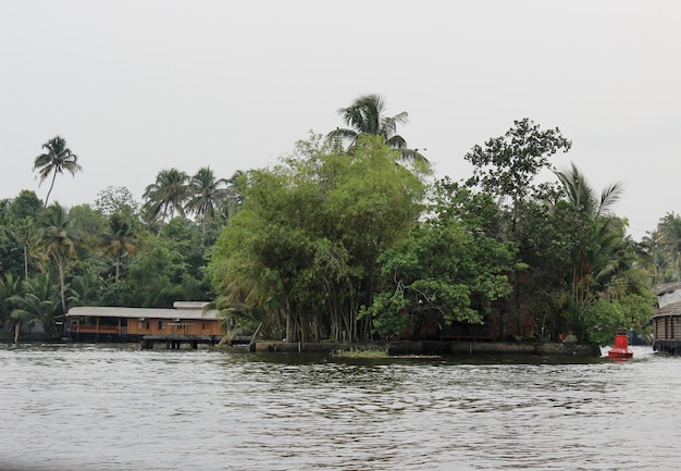 Uma casa na água é cercada por árvores e um rio.