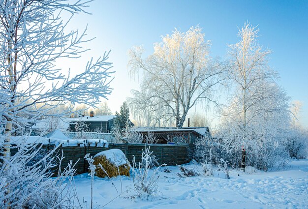 Uma casa na floresta de inverno no início da manhã.