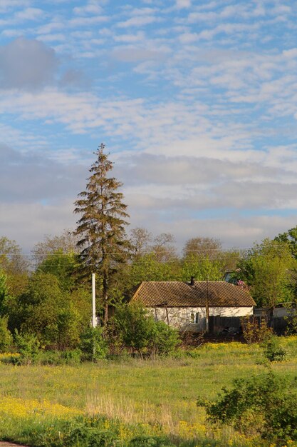 Uma casa num campo.