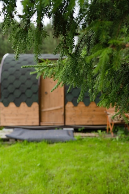 Uma casa por um pinheiro, com grama verde no verão