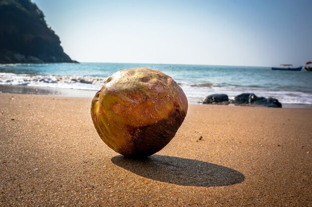 Uma cena de ondas com coco na praia tropical com areia amarela, no fundo desfocado do mar e do céu.