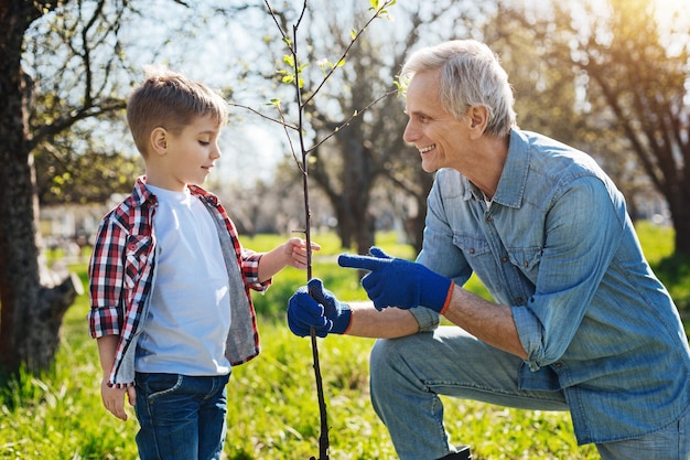 Uma cena de um homem sênior fazendo jardinagem na primavera e conversando com o neto enquanto planta uma nova árvore