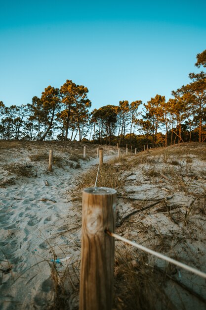 Uma cerca de corda na praia