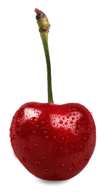 Uma cereja vermelha fresca com gotas de água closeup sobre o branco