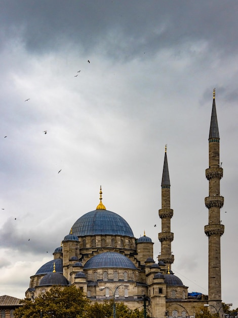 Uma certa mesquita em Istambul contra um céu sombrio com pássaros