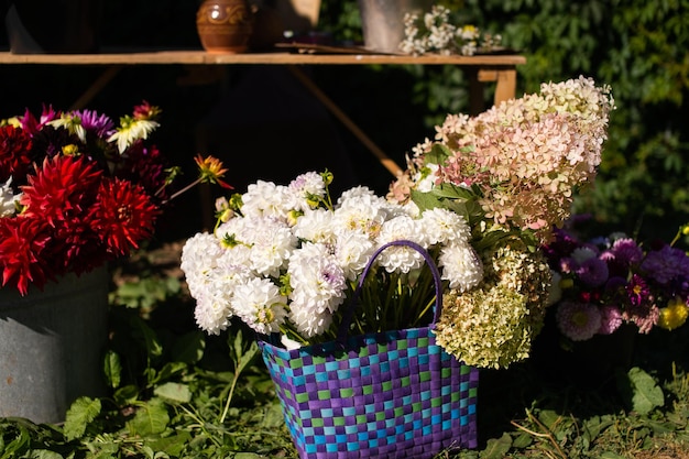 Uma cesta azul com dálias brancas e hortênsias fica no chão ao lado de flores vermelhas