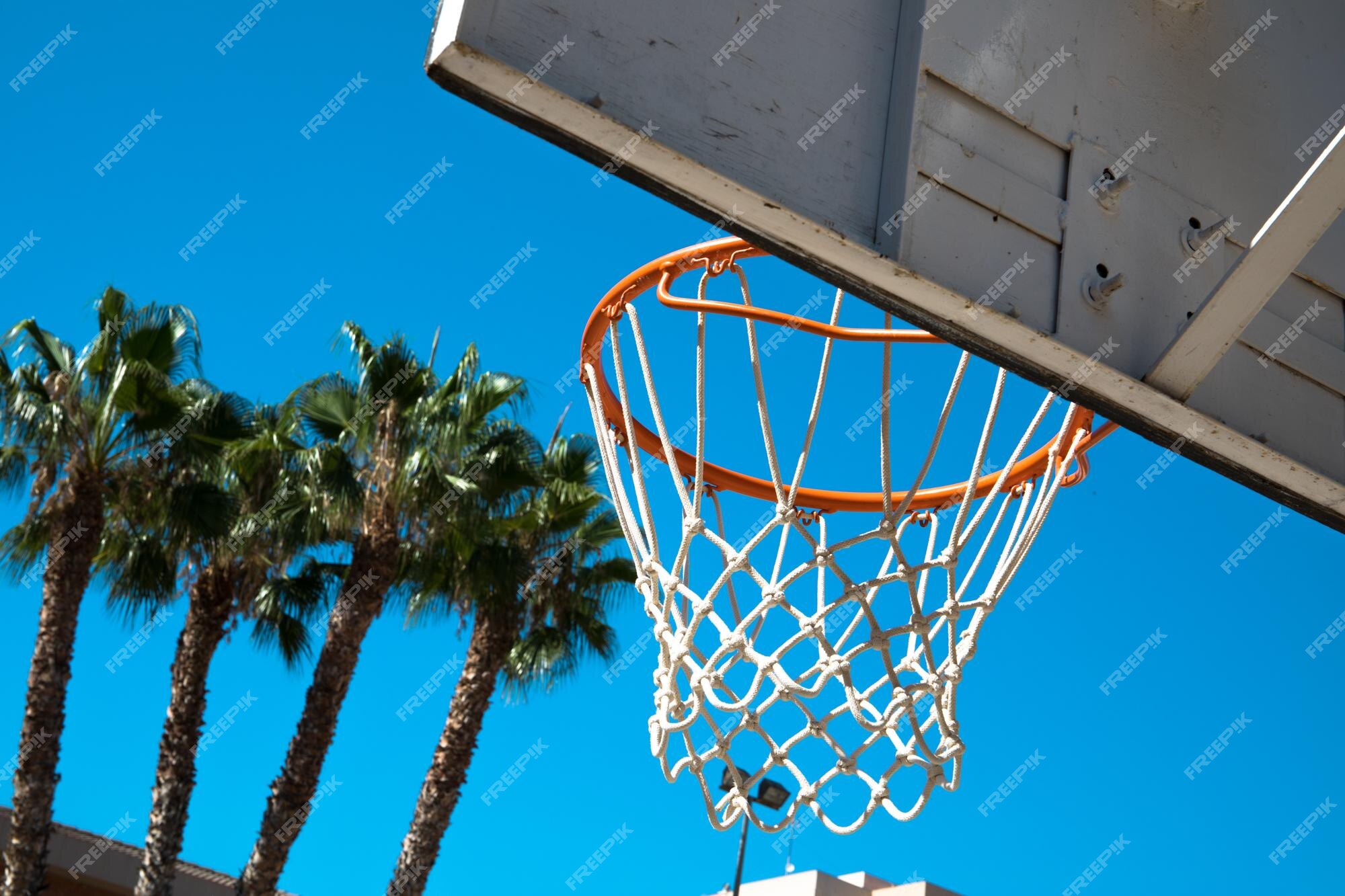 Hoje tem - Direto na Cesta - Escola de Basquetebol