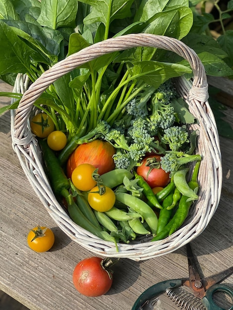 Uma cesta de vegetais, incluindo brócolis, tomate e outros vegetais.
