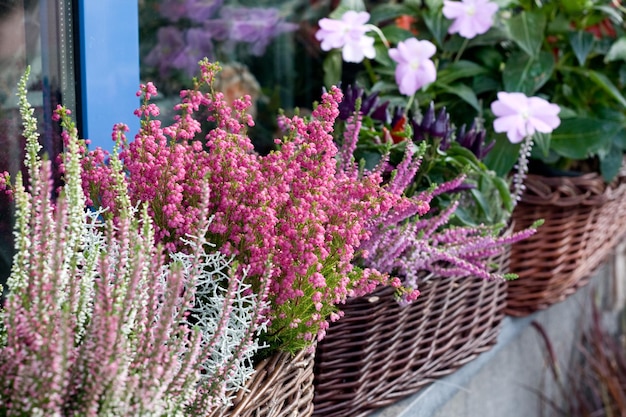 Uma cesta de vime com flores no peitoril da janela