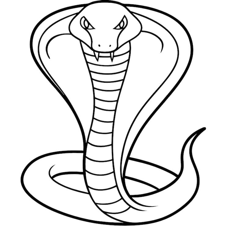 Foto uma cobra com uma cauda longa é mostrada com um fundo branco