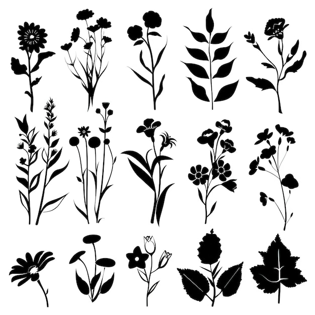 uma coleção de flores diferentes, incluindo uma que diz " selvagem "