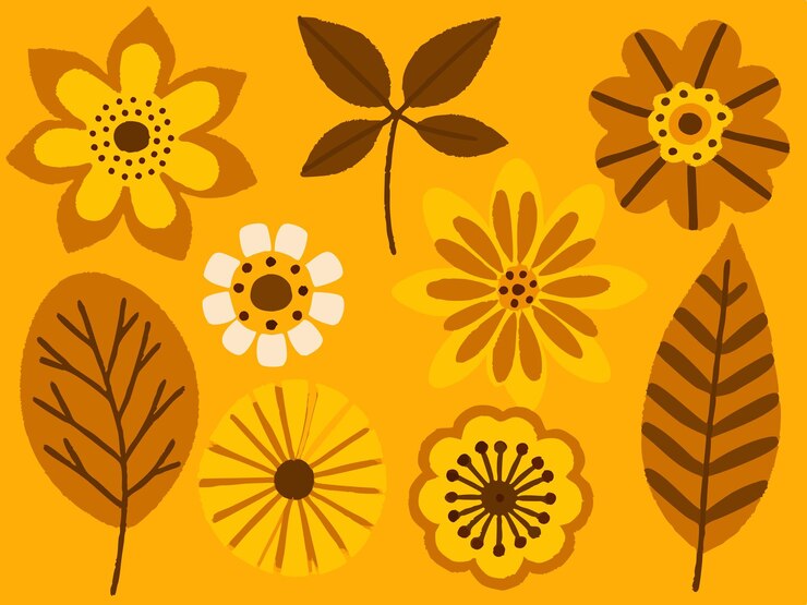 Foto uma coleção de flores e plantas do jardim