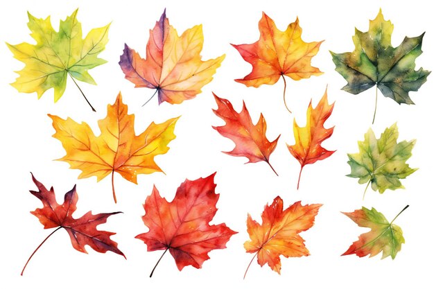 Uma coleção de folhas de outono pintadas por uma pessoa