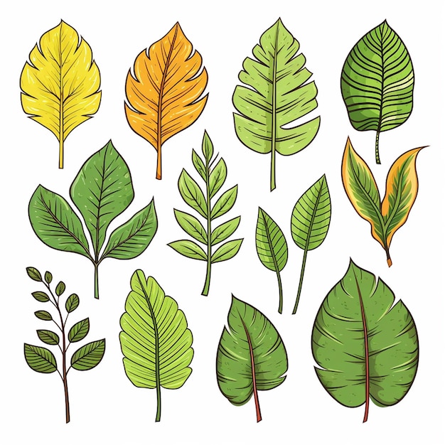 Uma coleção de folhas e plantas de diferentes cores.