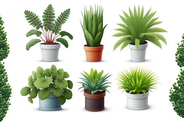 Uma coleção de ilustrações realistas de ícones de vasos de plantas para a casa Somente em um fundo branco