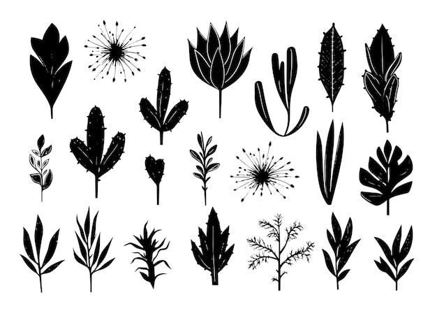 Uma coleção de imagens em preto e branco de plantas e flores.