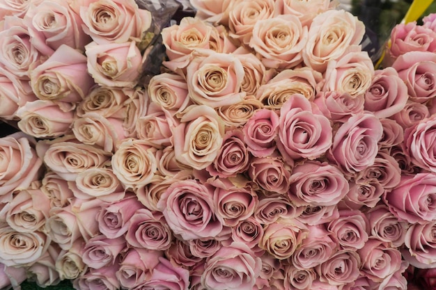 Uma coleção ou rosas em um mercado de flores