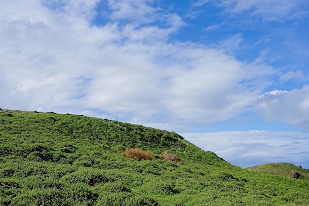 Uma colina gramada com um céu azul e nuvens