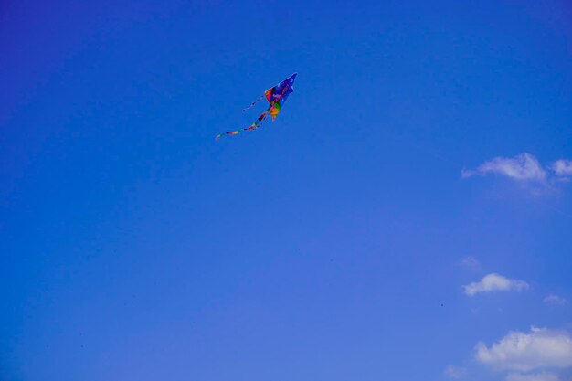 Foto uma cometa voa no céu azul