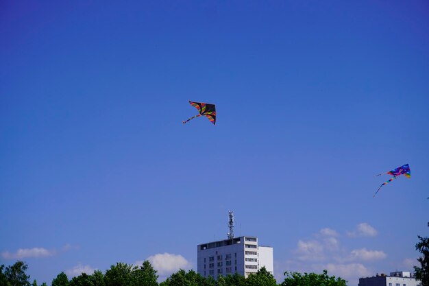 Foto uma cometa voa no céu azul