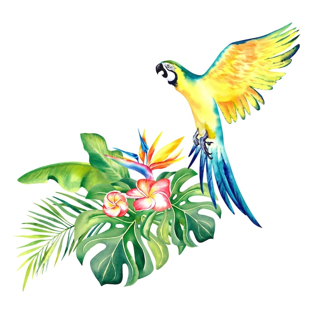 Uma composição tropical de ramos de palmeira e um papagaio amarelo Arara Ilustração em aquarela Aves exóticas Monstera Folhas de bananeira Plumeria Strelitzia