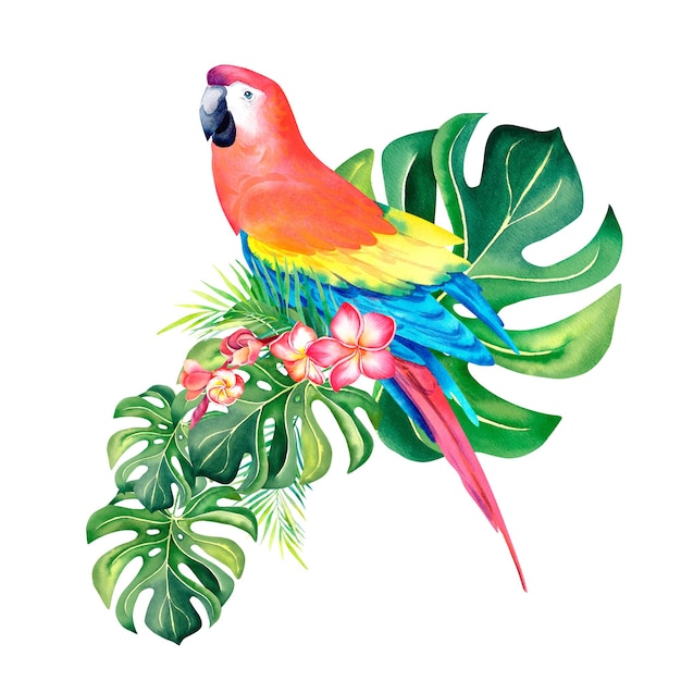 Uma composição tropical de ramos de palmeira e um papagaio de arara vermelha Ilustração em aquarela Aves exóticas Monstera Folhas de bananeira