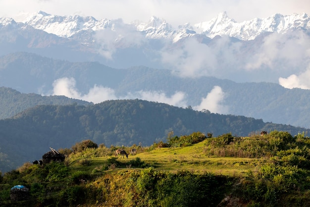 Uma cordilheira com neve nas montanhas ao fundo