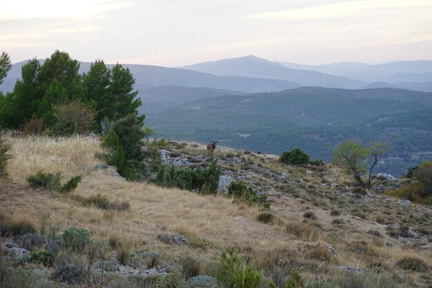 Uma cordilheira é vista à distância.