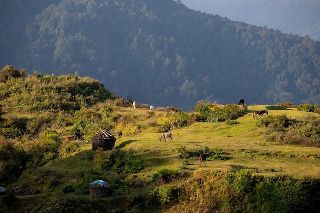 Uma cordilheira é vista ao longe, com uma montanha ao fundo.