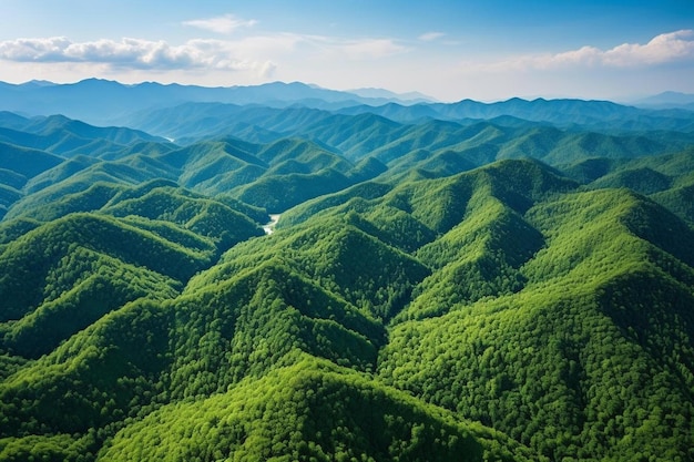 Foto uma cordilheira verde com um rio atravessando-a