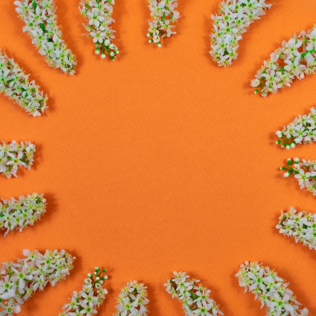 Uma coroa de flores brancas de cerejeira e folhas verdes em um fundo laranja Lugar para uma inscrição Vista de cima Em branco para cartões postais