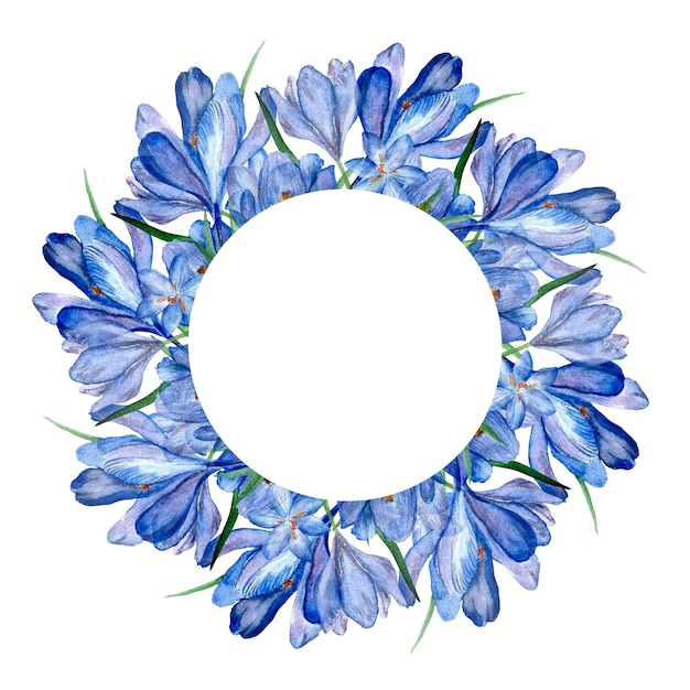 Uma coroa de prímula azul açafrão em aquarela