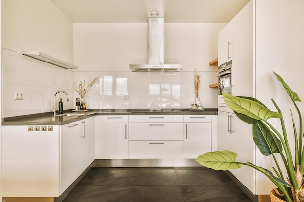 Foto uma cozinha branca com armários brancos e uma planta