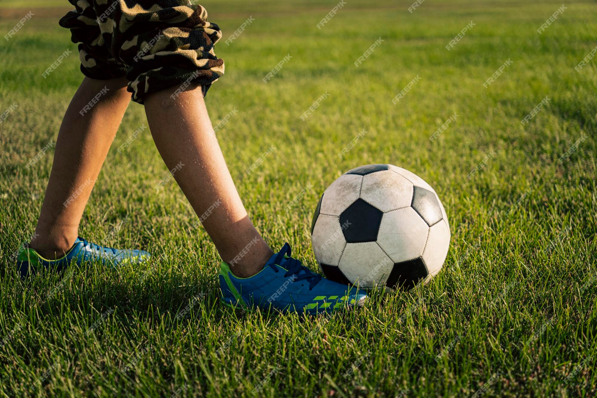 Cão Com a Bola Que Corre Da Criança Que Joga O Jogo Da Atualização Imagem  de Stock - Imagem de persiga, gramado: 87963521