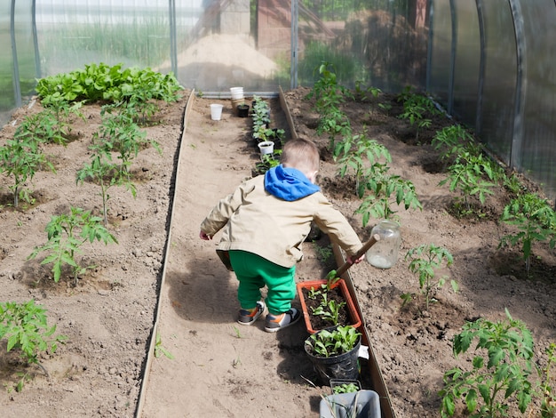 Uma criança brinca em uma estufa para cultivar legumes