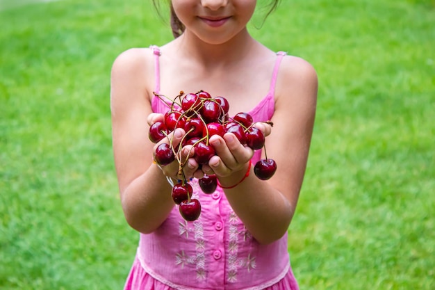 Uma criança colhe cerejas no jardim Foco seletivo