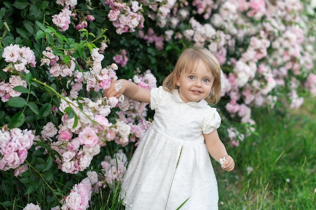 Uma criança é uma menina de vestido branco contra um fundo de roseiras cor de rosa