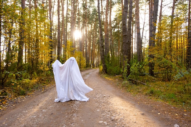 Uma criança em lençóis com recorte para os olhos como uma fantasia de fantasma em uma floresta de outono assusta e aterroriza Um fantasma engraçado e gentil Festa de Halloween