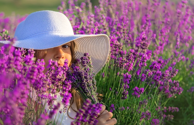 Uma criança em um campo de lavanda. Foco seletivo.