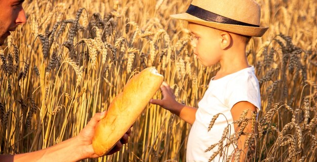 Foto uma criança em um campo de trigo come pão.