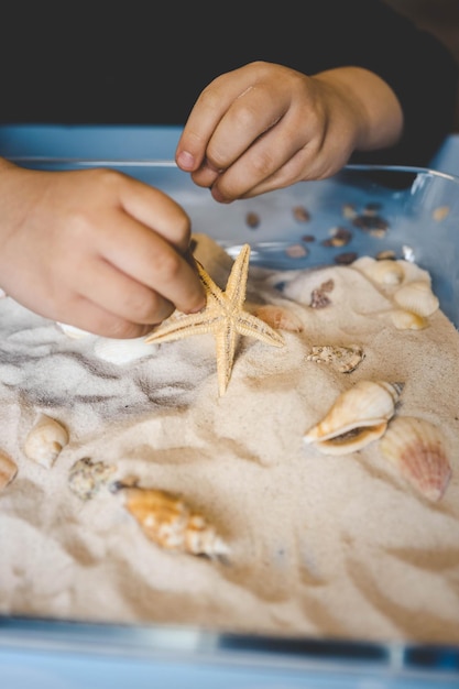 Uma criança estuda areia e conchas uma ideia para uma atividade com uma criança