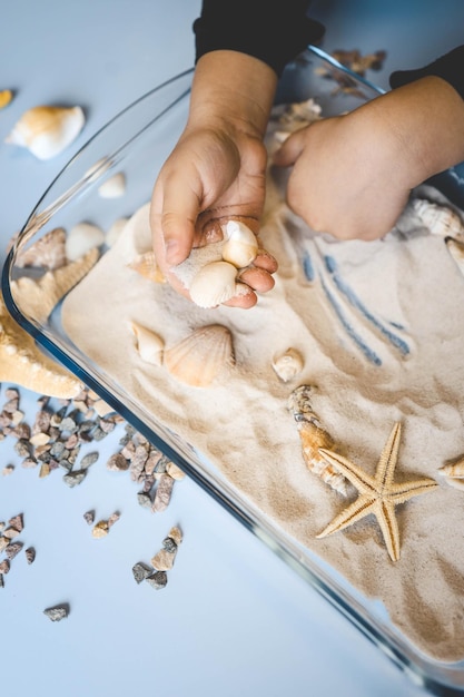 Uma criança estuda areia e conchas uma ideia para uma atividade com uma criança