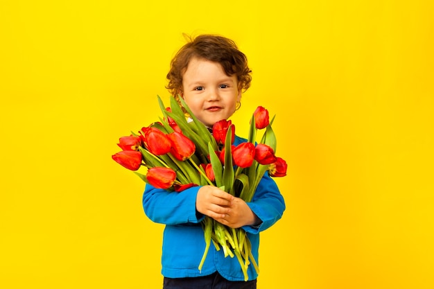 Uma criança feliz e sorridente segura um enorme buquê de tulipas vermelhas para a mãe em um amarelo brilhante