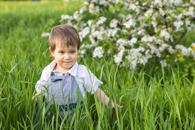 Uma criança fofa com um macacão azul e olhos azuis brinca de forma engraçada na grama alta de um parque verde florido